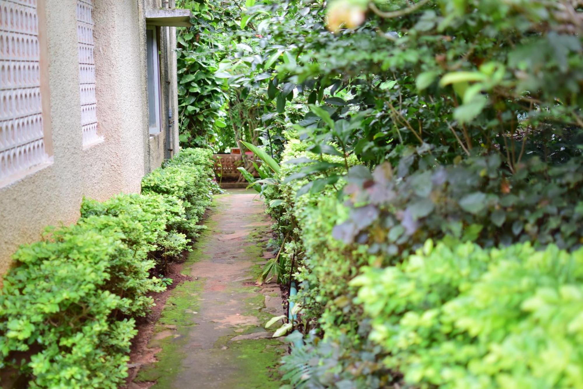 Silent Waters Resorts Yelagiri Buitenkant foto