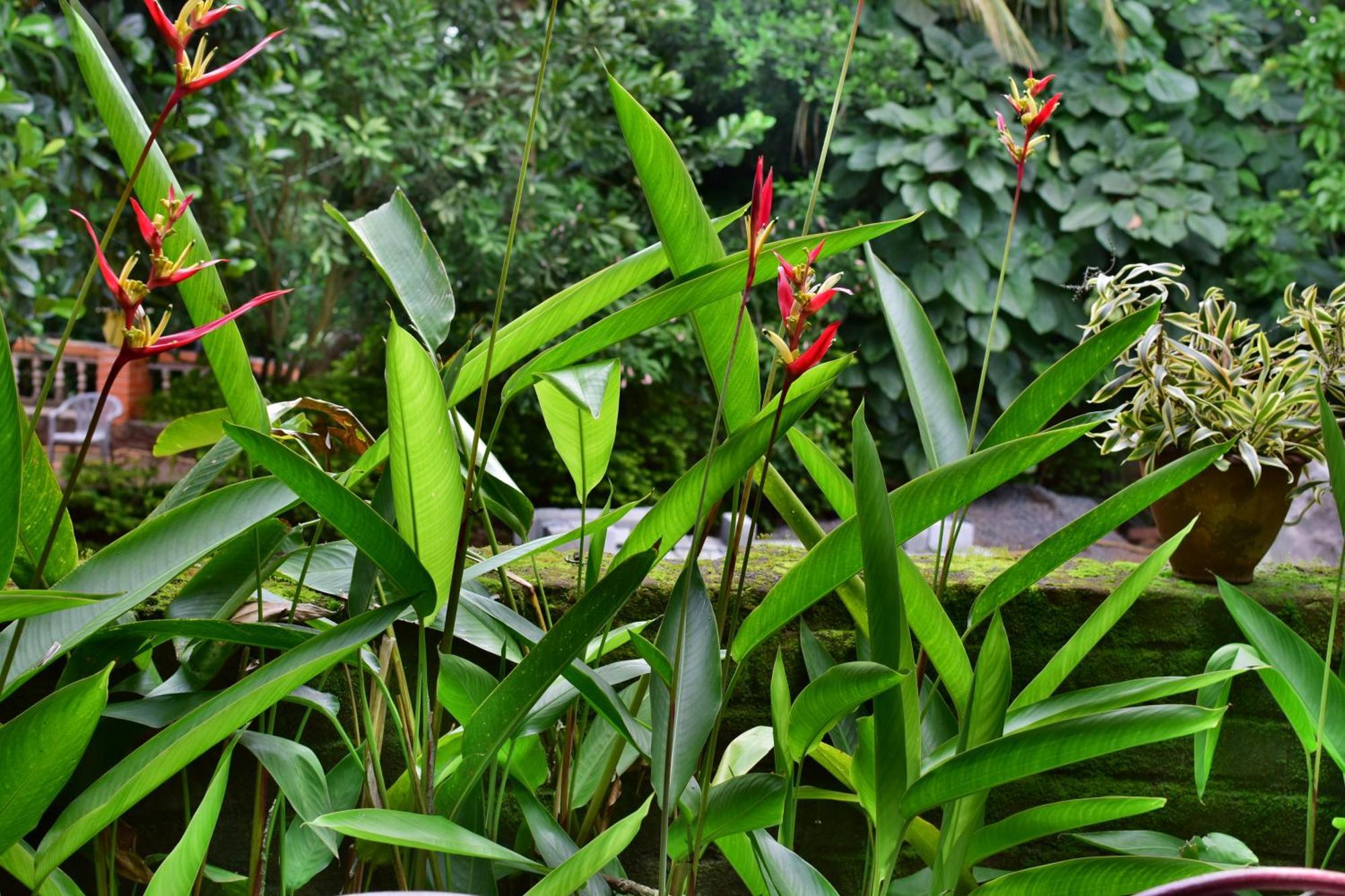 Silent Waters Resorts Yelagiri Buitenkant foto
