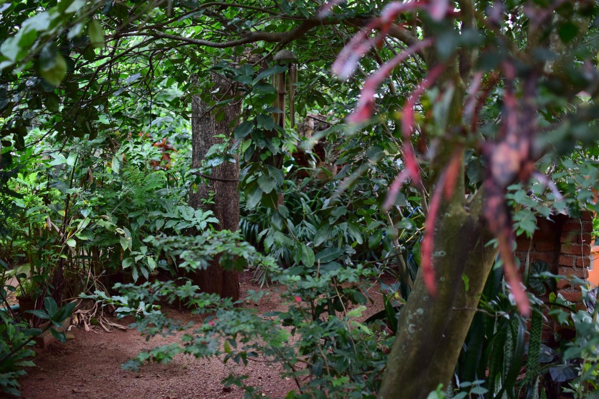 Silent Waters Resorts Yelagiri Buitenkant foto