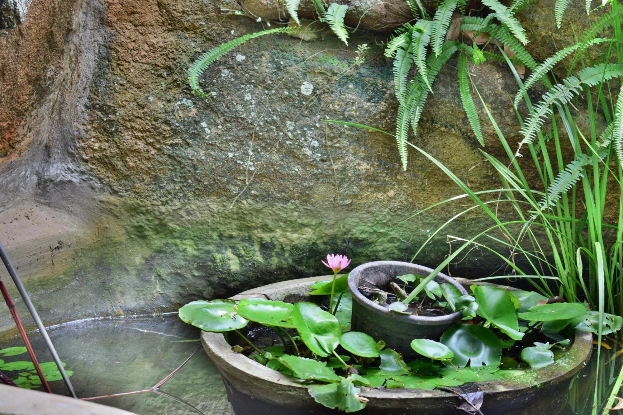 Silent Waters Resorts Yelagiri Buitenkant foto