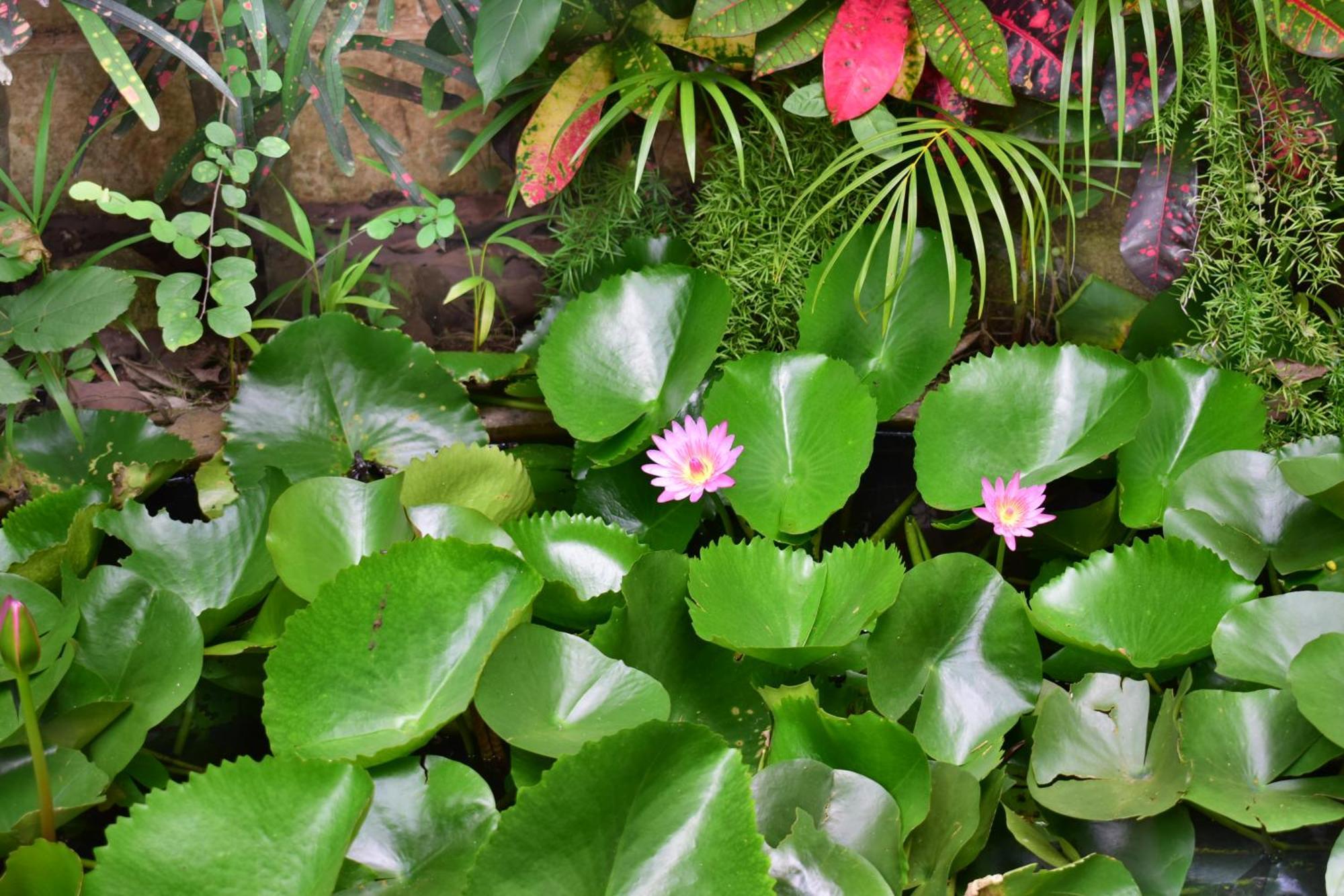 Silent Waters Resorts Yelagiri Buitenkant foto